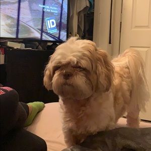 Meet your Posher, Lina